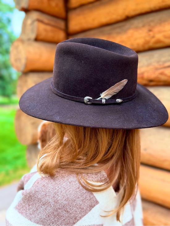 Classic Stetson Brown Wool Western Hat with Silver Accents main image 5